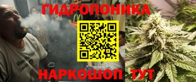 кокс Славгород