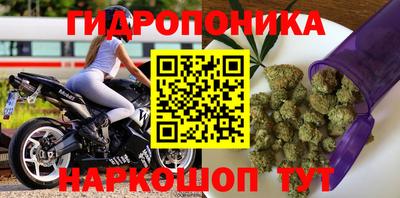 a pvp Славянск-на-Кубани