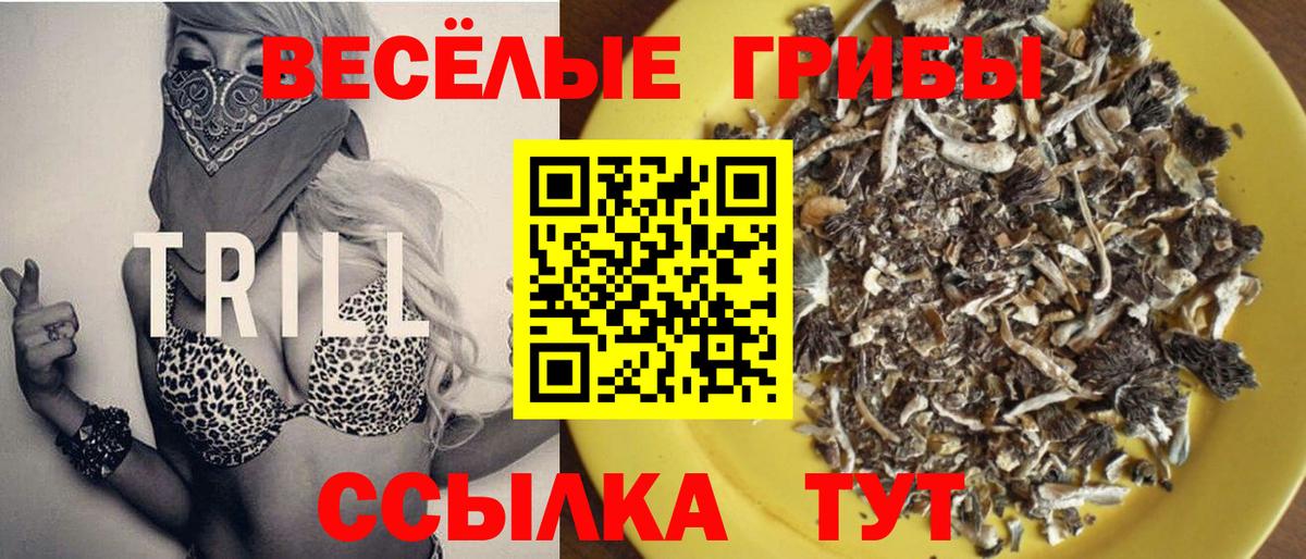Благодарный  Галлюциногенные грибы Cubensis  Вход с VPN 